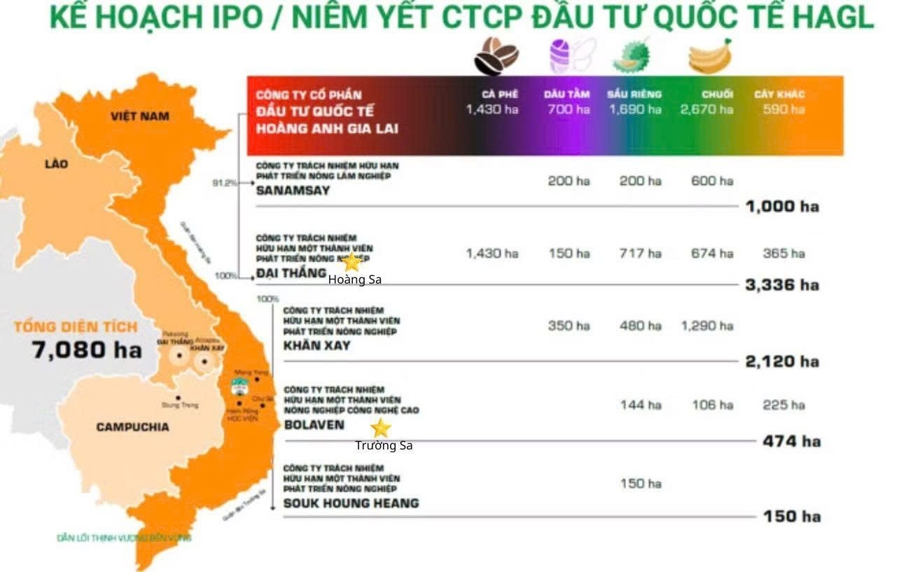 Món tài sản “ngon nhất” của Bầu Đức- Ảnh 3.