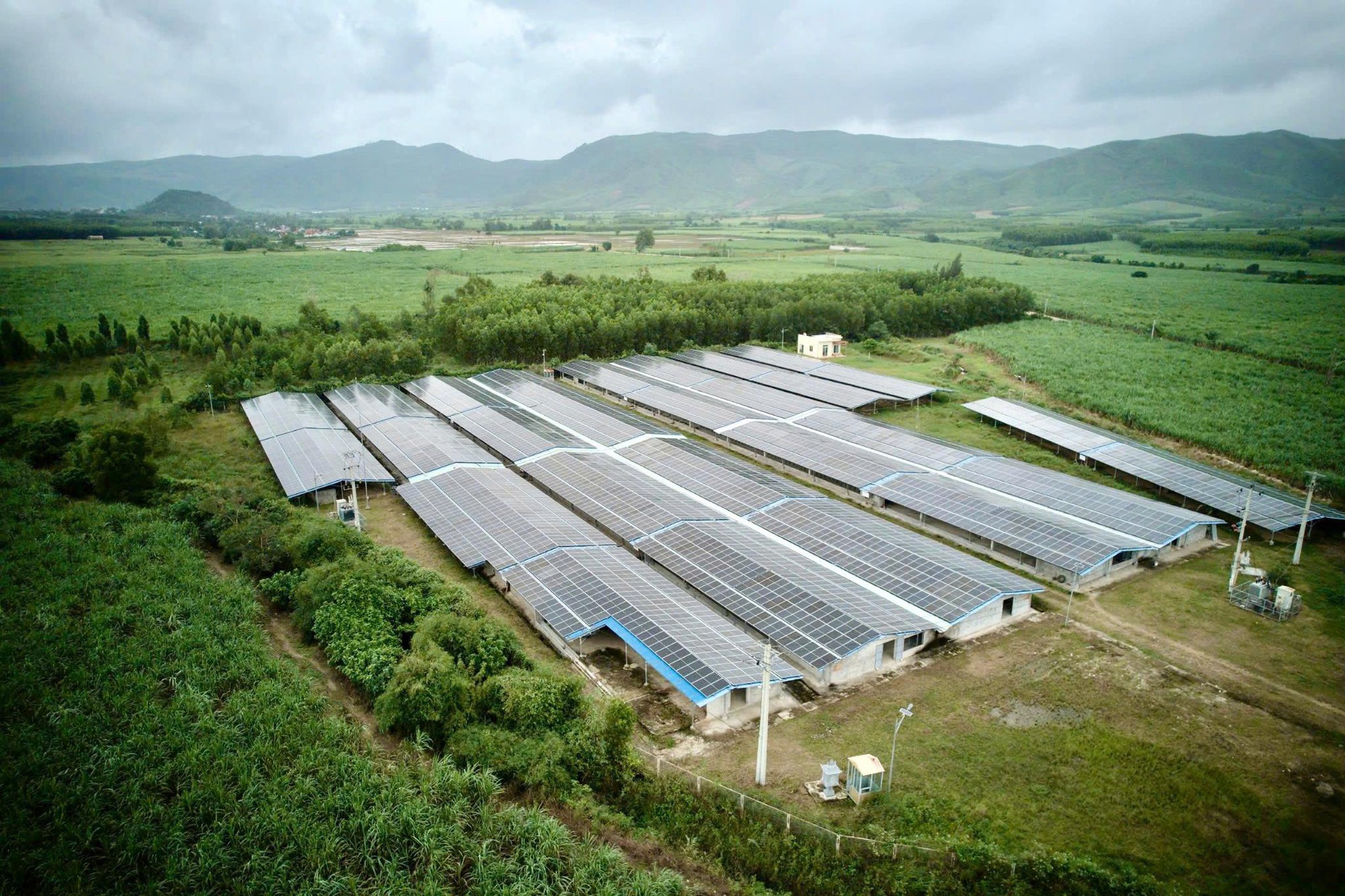 Tập đoàn Thành Nam mở rộng đầu tư, tham gia thị trường xuất khẩu cà phê - Ảnh 2.