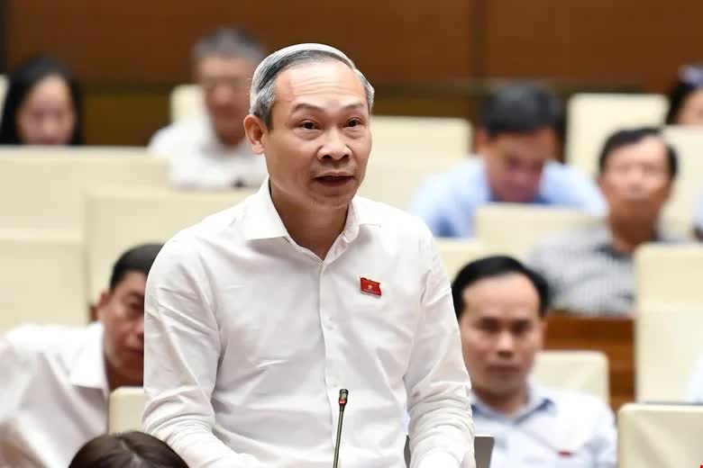 ĐBQH đề xuất nâng ngưỡng chịu thuế với hộ kinh doanh lên 3 tỷ đồng/năm- Ảnh 3.