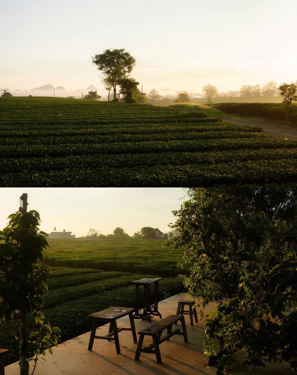 Việt Nam sắp có siêu khu du lịch quy mô hơn 205.00 hecta trải dài 12 xã phường, mục tiêu hút 8 triệu khách- Ảnh 1.