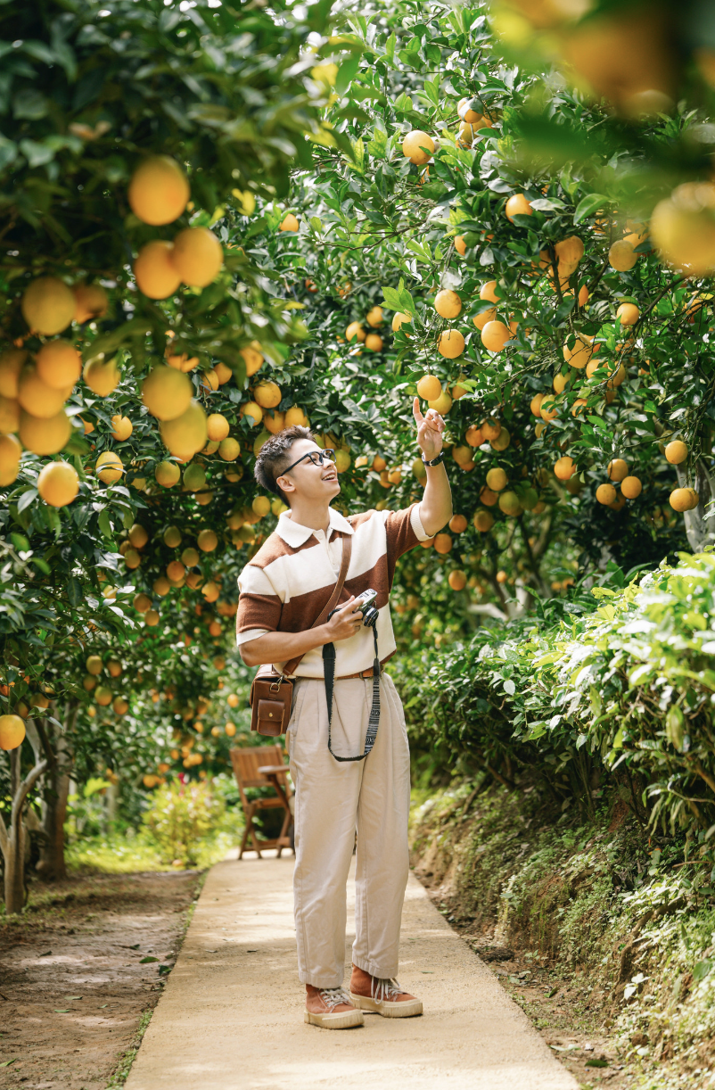 Việt Nam sắp có siêu khu du lịch quy mô hơn 205.00 hecta trải dài 12 xã phường, mục tiêu hút 8 triệu khách- Ảnh 3.