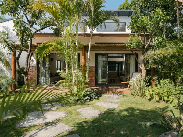 Gia đình đang trồng cau trước nhà cần biết điều này - Ảnh 1.