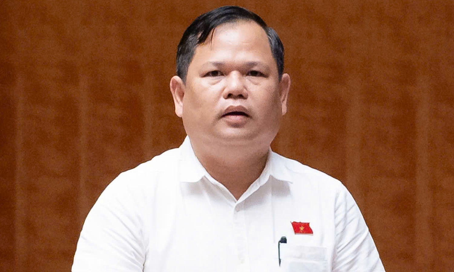 Đại biểu Quốc hội đề xuất ngưỡng chịu thuế với hộ kinh doanh lên 3 tỷ đồng/năm- Ảnh 1.