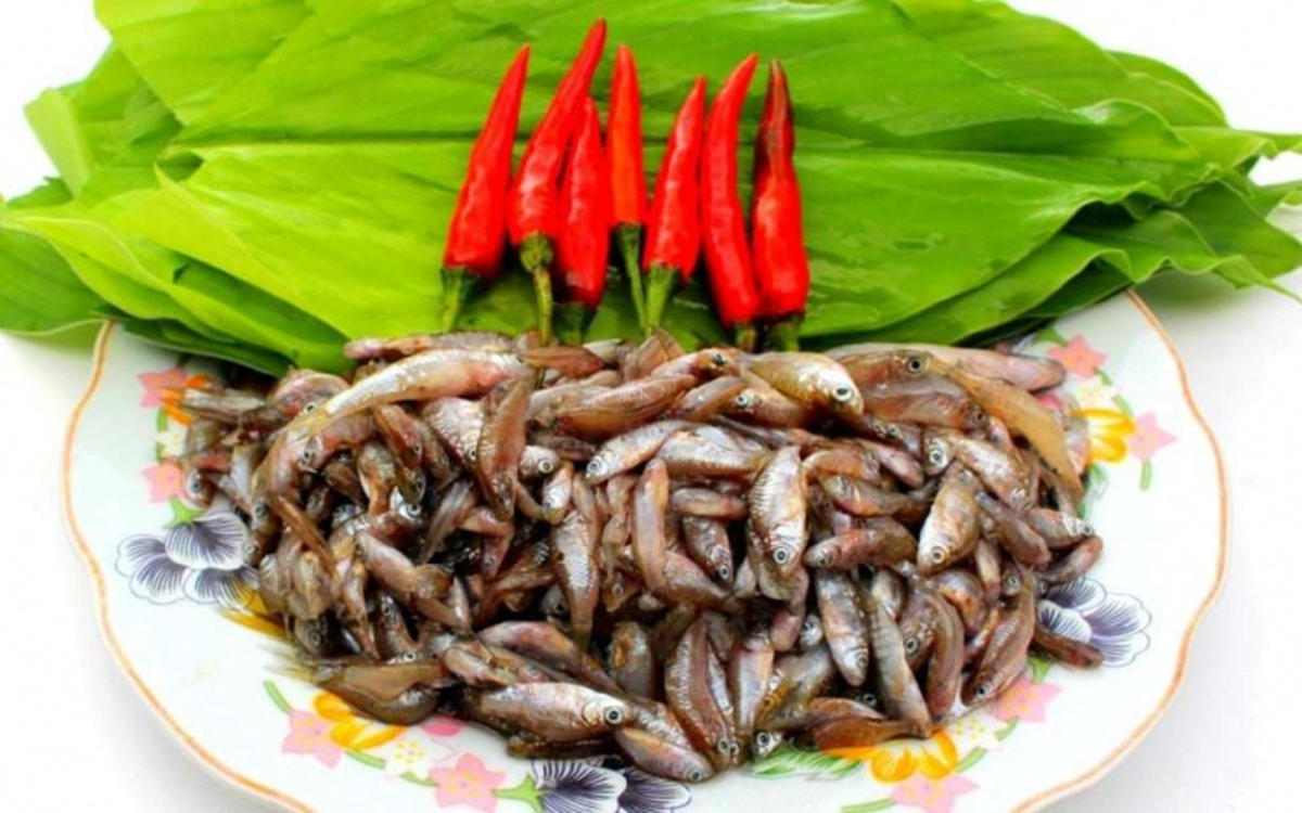 Loại cá "nhà nghèo" xưa ra đồng bắt về ăn, nay thành đặc sản ngon và hiếm 400.000 đồng/kg vẫn hút khách - Ảnh 2.