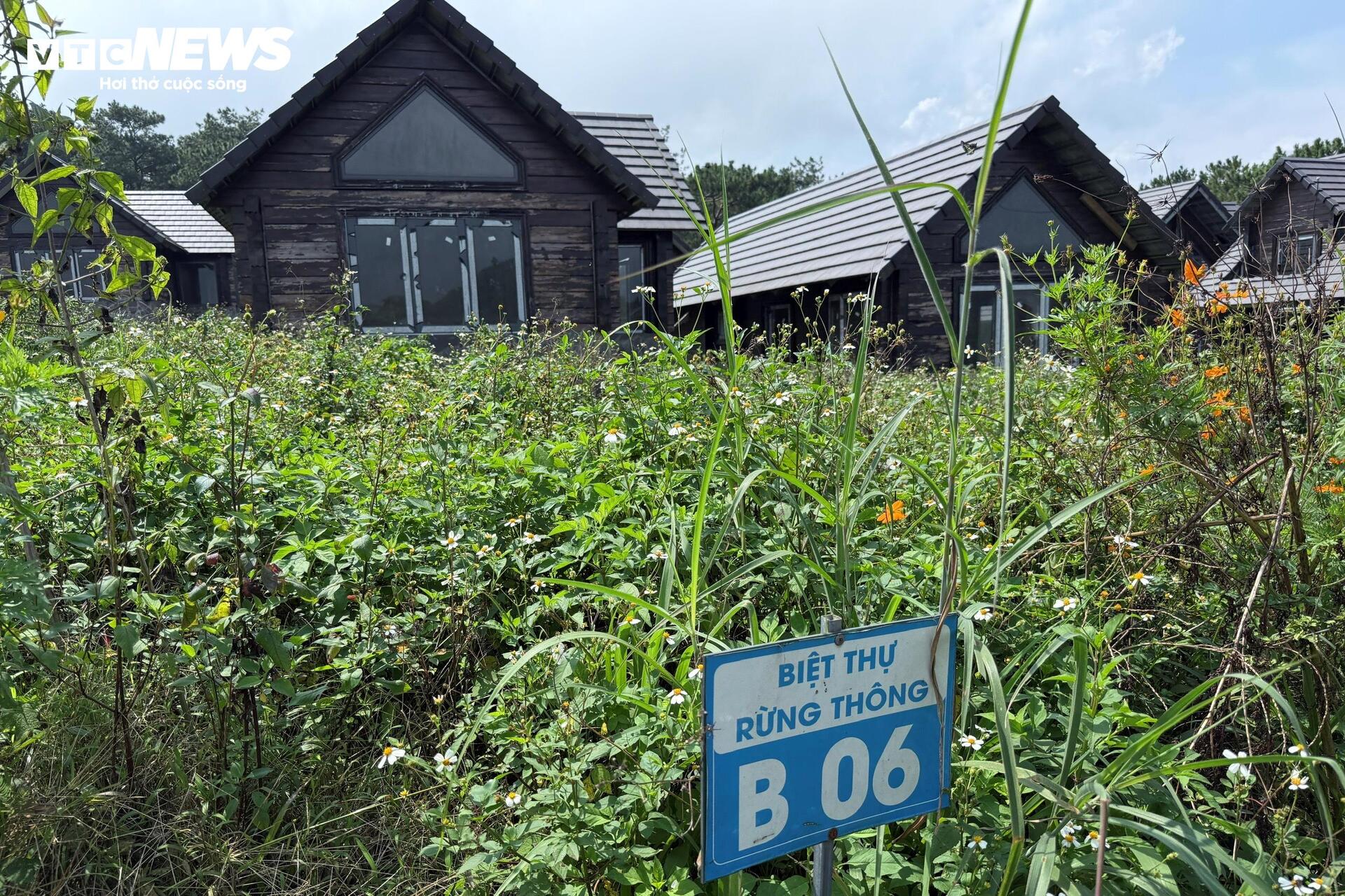 Chuyên gia nêu lý do đất nền phân lô bán cắt lỗ vẫn không có người mua- Ảnh 4.