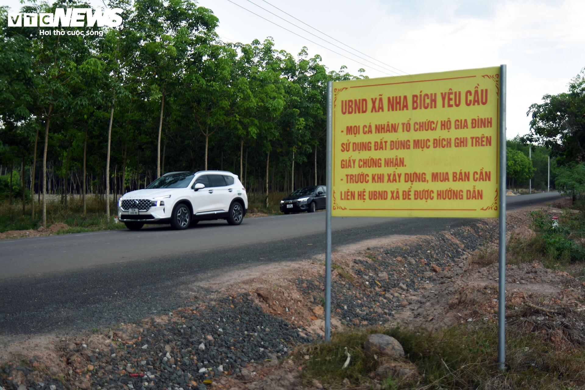 Chuyên gia nêu lý do đất nền phân lô bán cắt lỗ vẫn không có người mua- Ảnh 2.