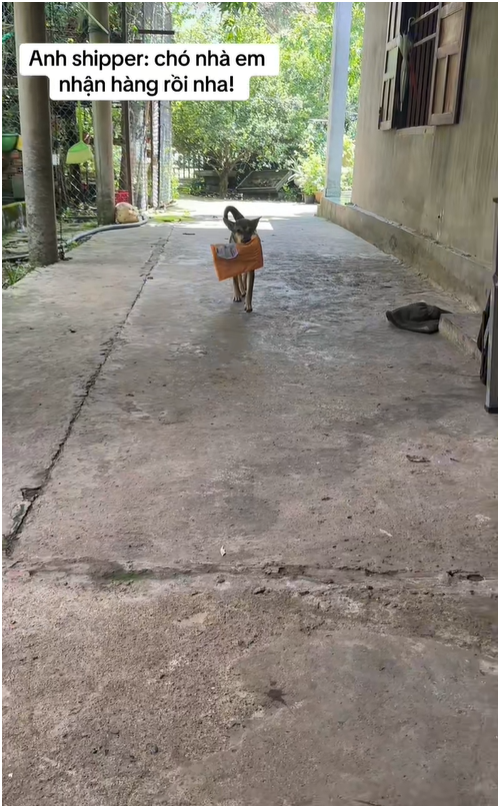 Shipper đến phòng trọ giao hàng, chuyện gì xảy ra khiến chủ trích xuất camera đăng lên mạng? - Ảnh 5.