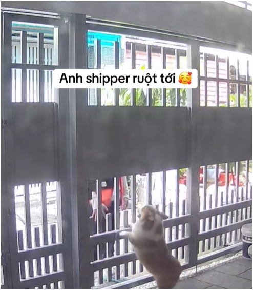 Shipper đến phòng trọ giao hàng, chuyện gì xảy ra khiến chủ trích xuất camera đăng lên mạng? - Ảnh 2.