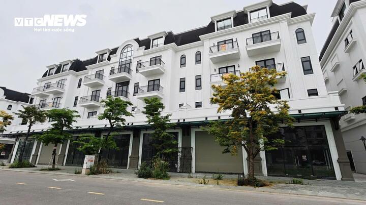 Phố đi bộ nghìn tỷ ở Bắc Ninh đìu hiu, biệt thự bỏ hoang cho cỏ mọc- Ảnh 4.