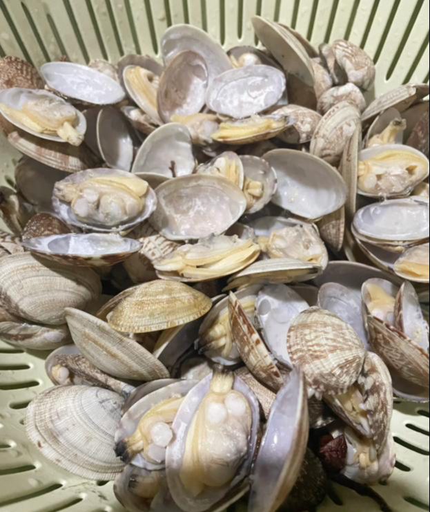 Đừng nhét 7 thứ này vào tủ lạnh nữa: Càng bảo quản càng mất tiền oan- Ảnh 1.