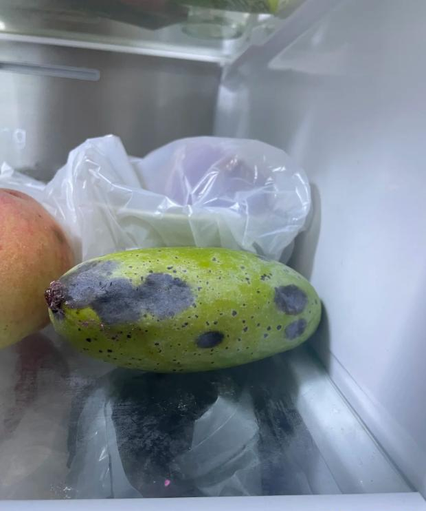 Đừng nhét 7 thứ này vào tủ lạnh nữa: Càng bảo quản càng mất tiền oan- Ảnh 3.