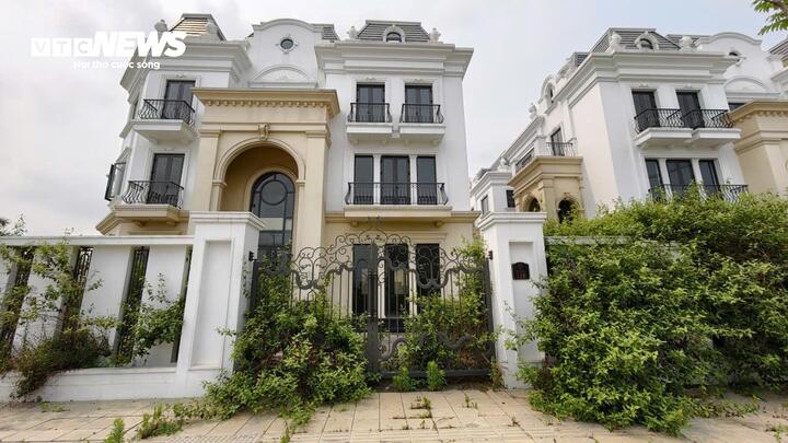 Phố đi bộ nghìn tỷ ở Bắc Ninh đìu hiu, biệt thự bỏ hoang cho cỏ mọc- Ảnh 2.