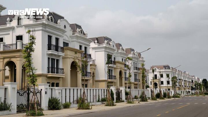 Phố đi bộ nghìn tỷ ở Bắc Ninh đìu hiu, biệt thự bỏ hoang cho cỏ mọc- Ảnh 3.