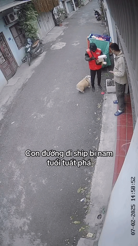 Shipper đến giao hàng bỗng dắt xe máy của khách đi: Đoạn camera an ninh 24 giây được tung lên mạng- Ảnh 6.