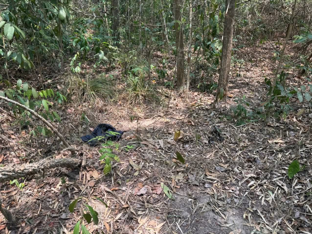 Bí ẩn cái chết của người đàn ông trong rừng phòng hộ Dầu Tiếng năm 2026 - Ảnh 1.