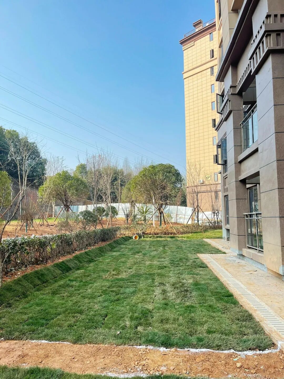 Tôi bán căn hộ tầng 1 sau 3 năm chịu đựng - chuyển lên tầng cao nhất mới hiểu: Chọn sai tầng có thể ảnh hưởng trầm trọng đến chất lượng sống - Ảnh 4.