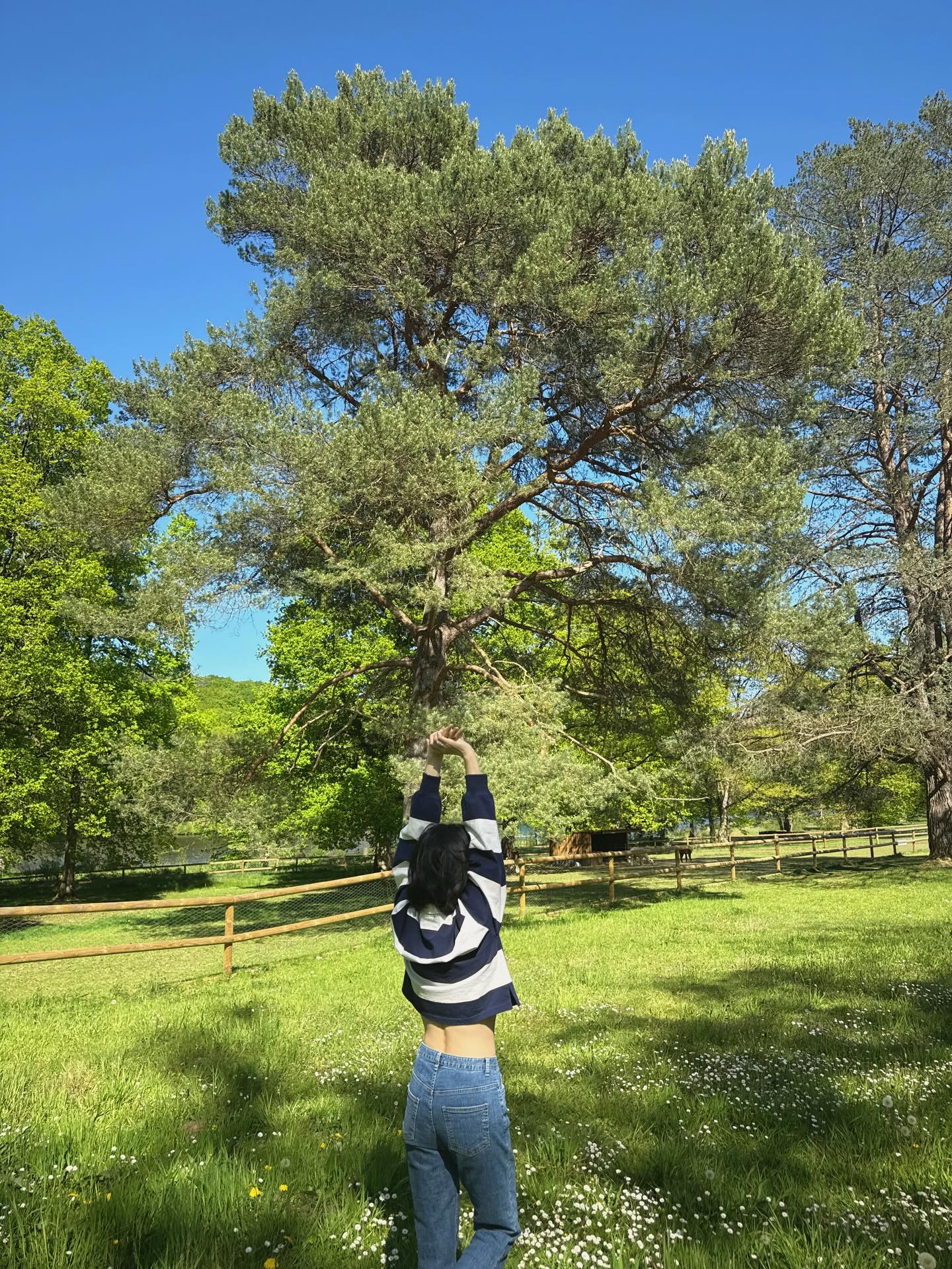 Song Hye Kyo công khai vòng eo tuổi 45- Ảnh 2.