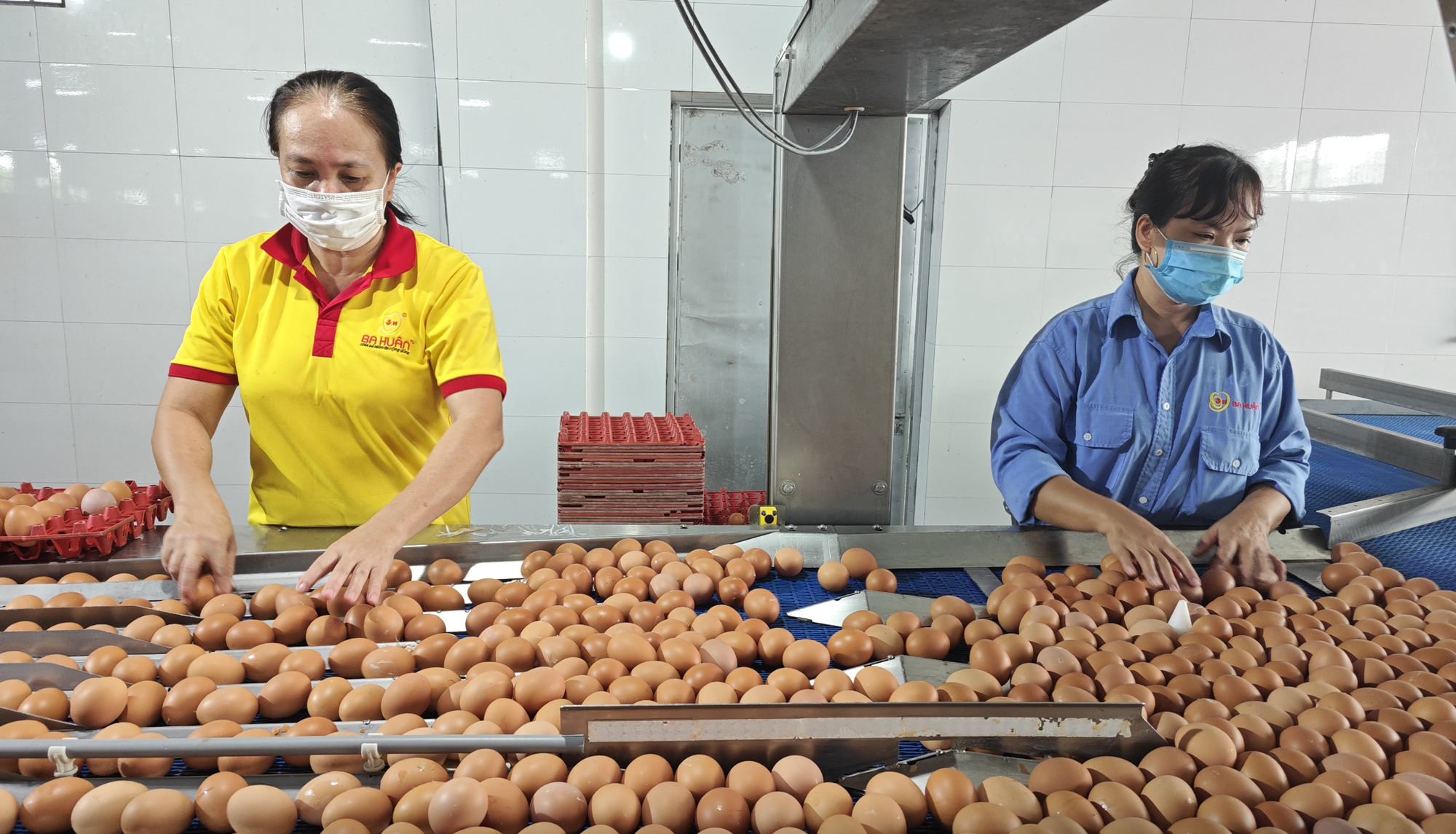 Ba Huân nợ bảo hiểm xã hội: Thương hiệu quốc dân đang gặp khó khăn năm 2026 - Ảnh 2.