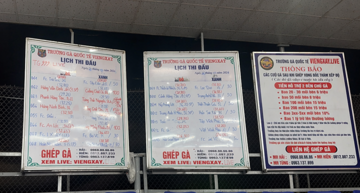 Trường gà 1.200 tỷ: Hé lộ đường dây vận hành tinh vi, kéo con bạc Việt sang Lào- Ảnh 3.