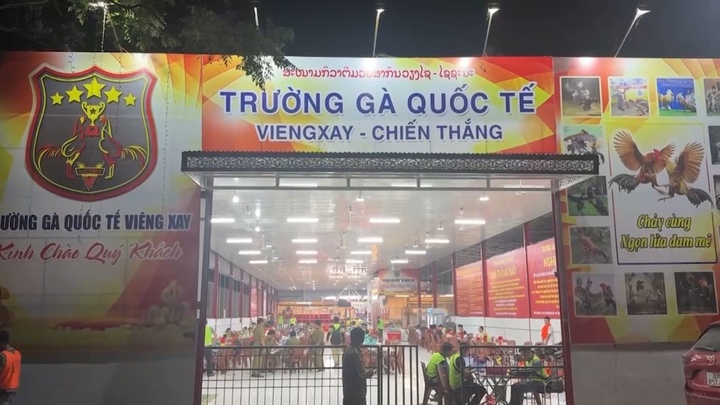 Trường gà 1.200 tỷ: Hé lộ đường dây vận hành tinh vi, kéo con bạc Việt sang Lào- Ảnh 1.