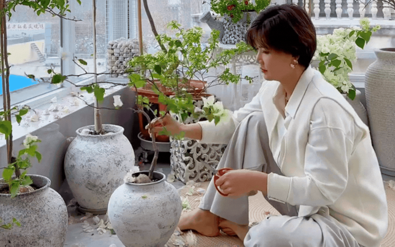 Cắt tỉa càng "bạo tay", hoa nở càng rực rỡ: Bí quyết hô biến ban công thành vườn hoa giấy đẹp như mộng từ chuyên gia- Ảnh 2.