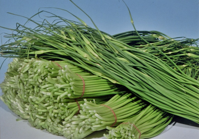 4 loại “rau tắm hóa chất” ngoài chợ, người bán không ăn nhưng nhiều người vẫn tranh mua vì… quá ngon mắt- Ảnh 3.