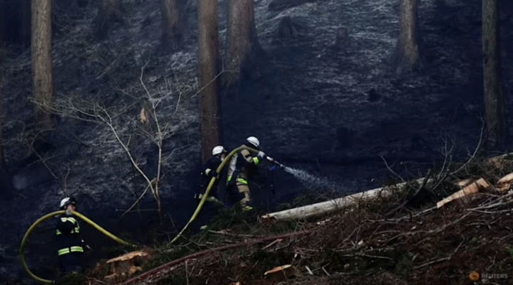 Cháy rừng tại Nhật Bản khiến 3.000 người sơ tán, lính cứu hỏa căng mình dập lửa- Ảnh 1.