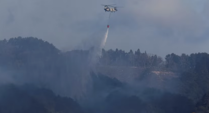 Cháy rừng tại Nhật Bản khiến 3.000 người sơ tán, lính cứu hỏa căng mình dập lửa- Ảnh 2.