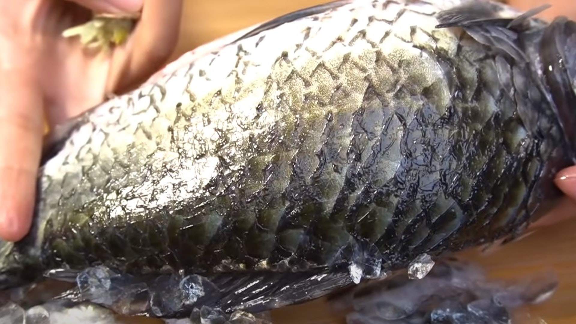 Mẹo đánh vảy cá: Không cần dao hay đồ bào, chỉ dùng 1 "phế liệu" nhỏ là đã sạch sẽ, không lo đứt tay, vảy cá không văng tung tóe- Ảnh 1.