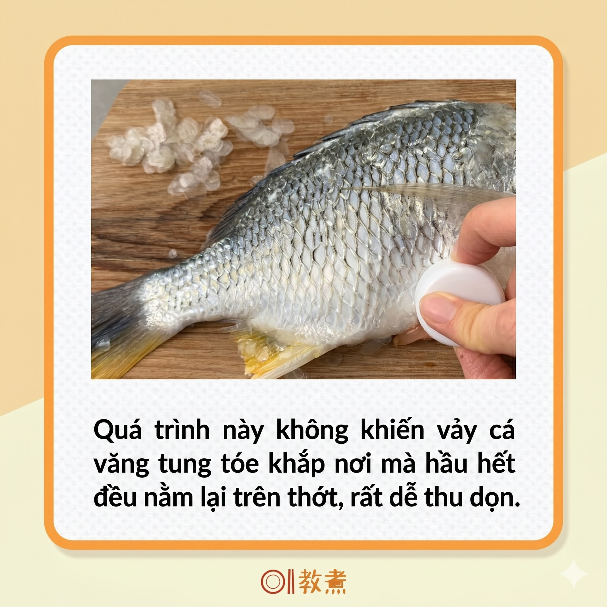 Mẹo đánh vảy cá: Không cần dao hay đồ bào, chỉ dùng 1 "phế liệu" nhỏ là đã sạch sẽ, không lo đứt tay, vảy cá không văng tung tóe- Ảnh 6.