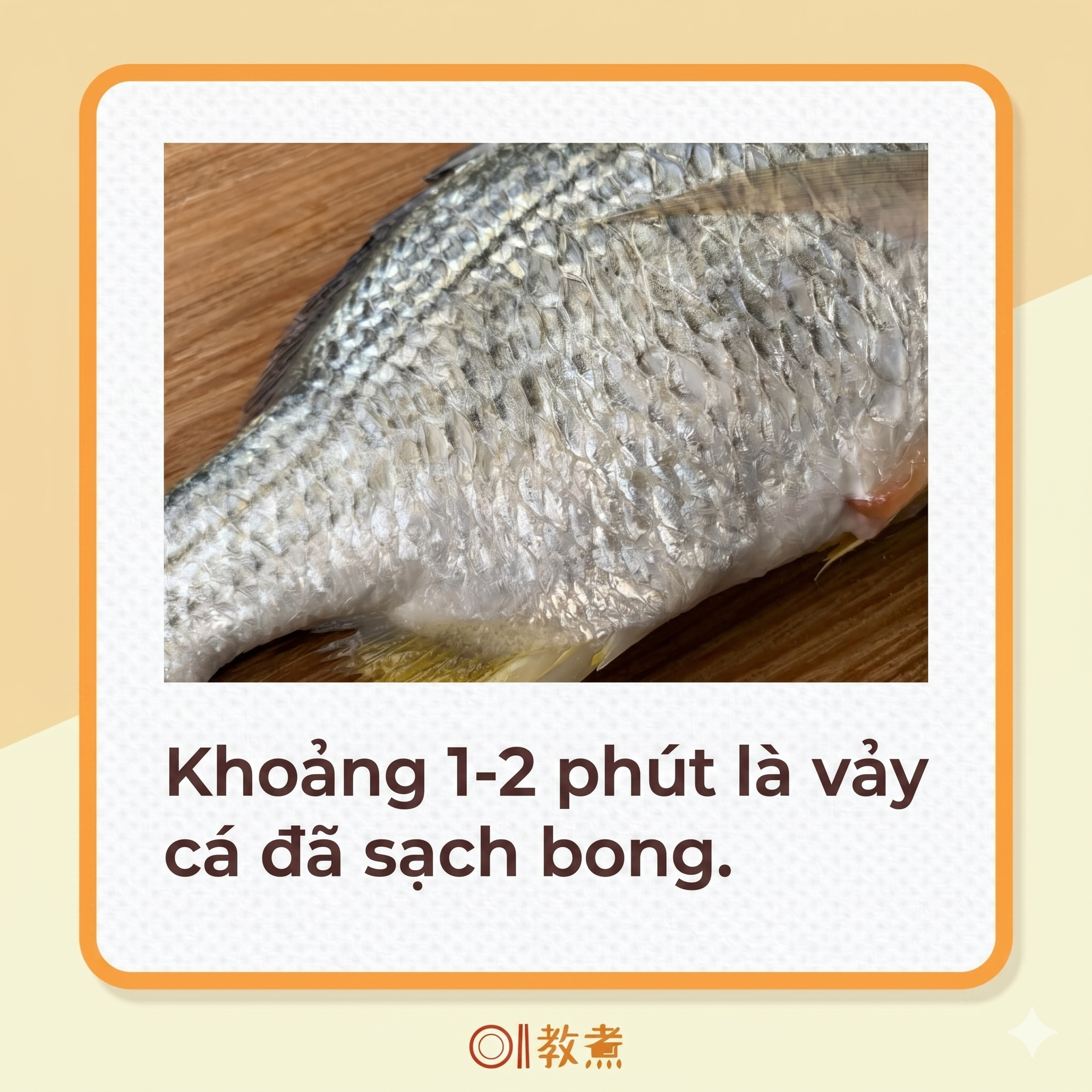 Mẹo đánh vảy cá: Không cần dao hay đồ bào, chỉ dùng 1 "phế liệu" nhỏ là đã sạch sẽ, không lo đứt tay, vảy cá không văng tung tóe- Ảnh 7.