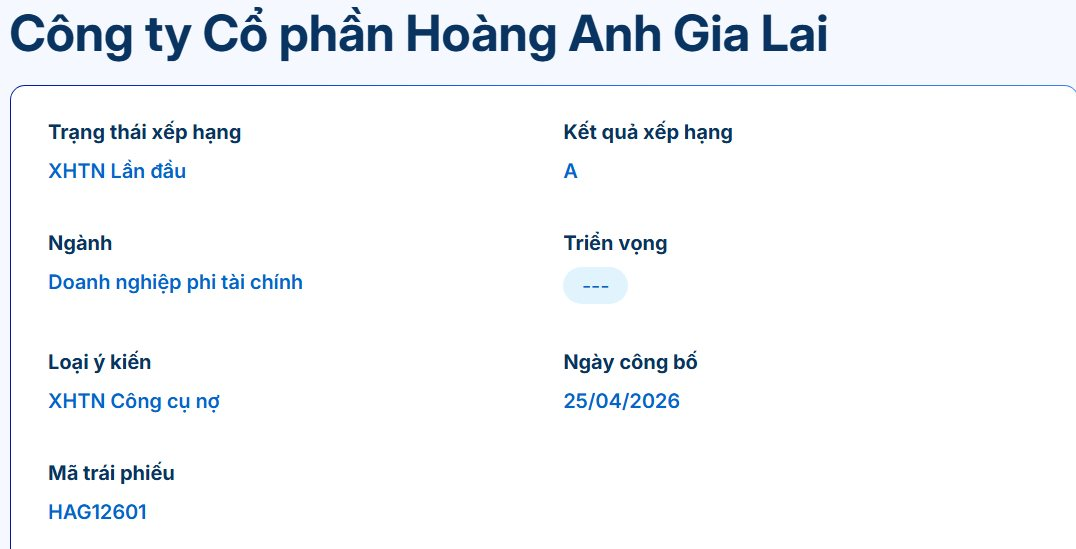 Trái phiếu của Hoàng Anh Gia Lai được xếp hạng tín nhiệm A: Dòng tiền 2.000 tỷ sẽ chảy về đâu?- Ảnh 1.