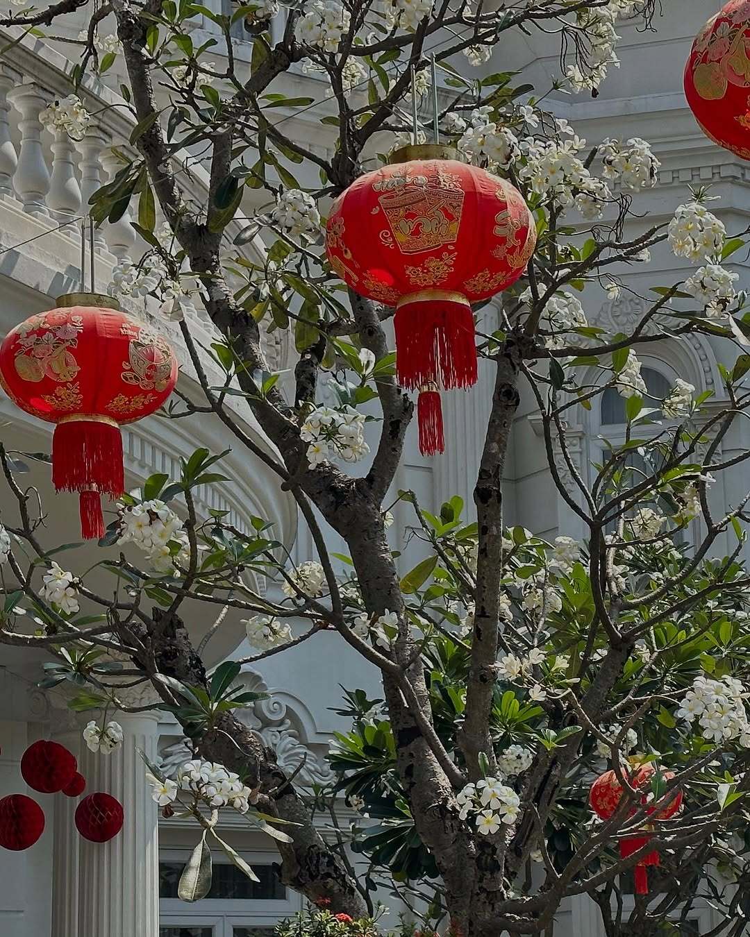 Mỹ nhân 26 tuổi cưới cháu trai gia tộc giàu bậc nhất Việt Nam: Sống trong dinh thự dát vàng, sân nhà đủ đỗ chục chiếc xe hơi- Ảnh 14.