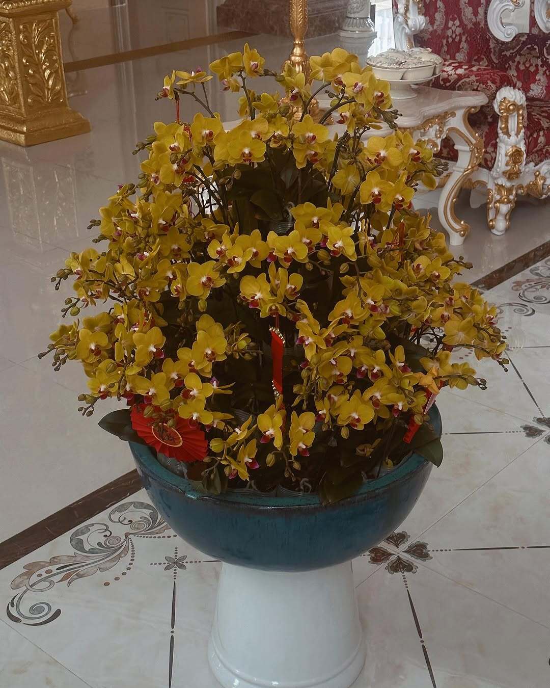 Mỹ nhân 26 tuổi cưới cháu trai gia tộc giàu bậc nhất Việt Nam: Sống trong dinh thự dát vàng, sân nhà đủ đỗ chục chiếc xe hơi- Ảnh 15.