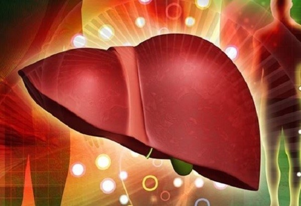 Loại quả phổ biến mà lại rẻ tiền, giúp thải độc gan hiệu quả - Ảnh 2.