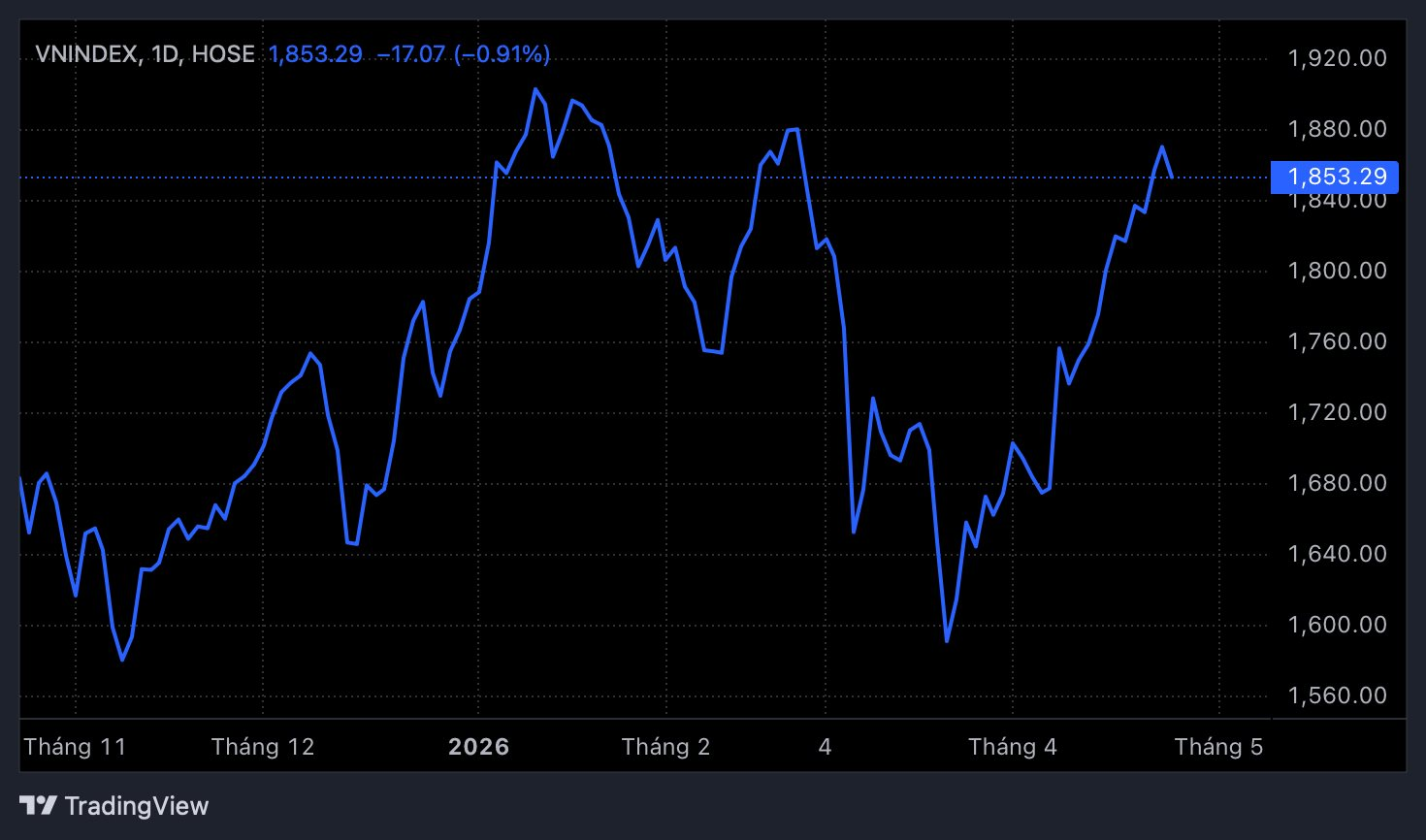 Chuyên gia: Đừng nhìn chỉ số để mua, đây là 4 nhóm cổ phiếu có cơ hội "nối sóng" Vingroup- Ảnh 1.