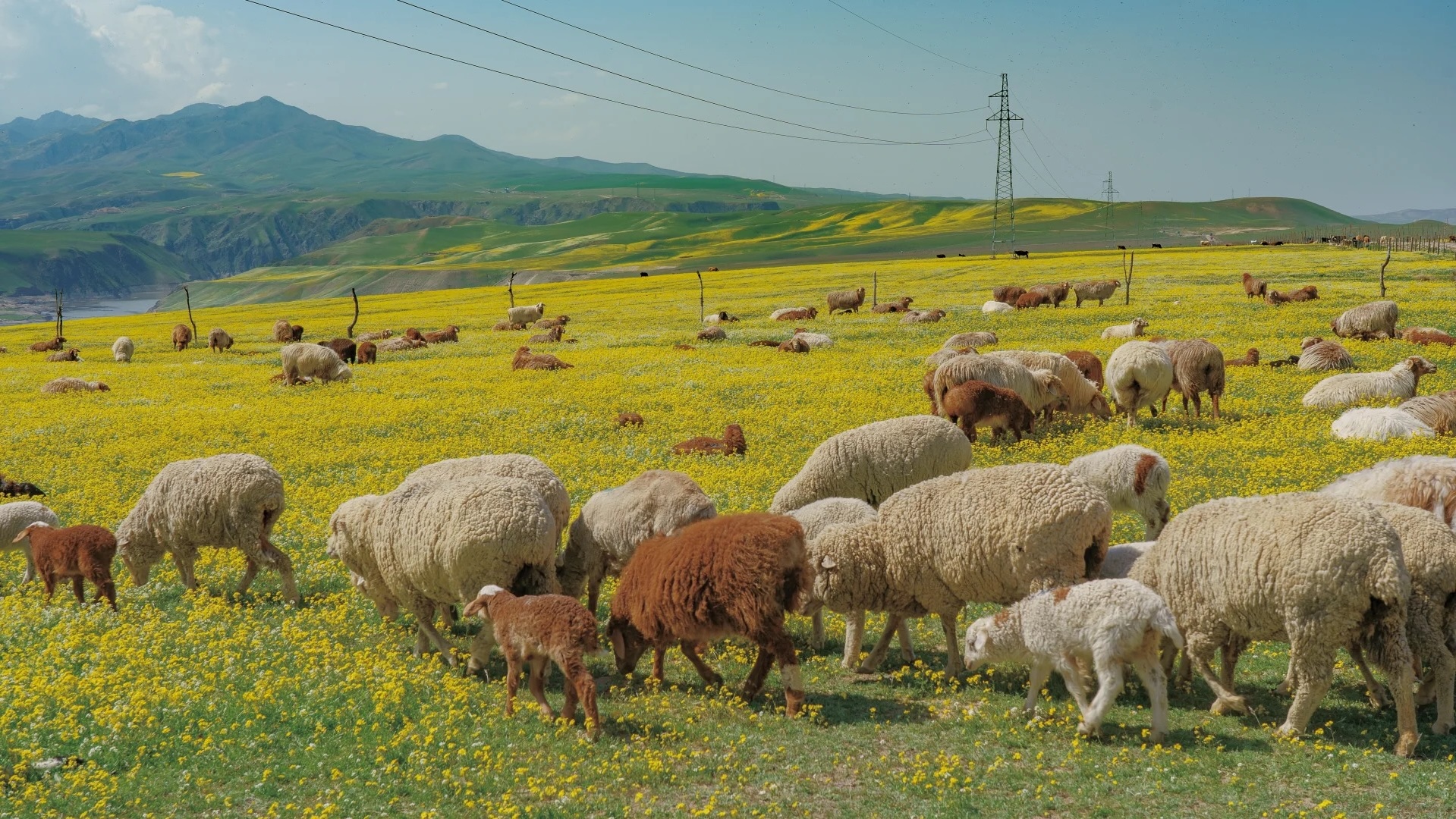 Khi tôi quyết định không đi đâu cả dịp 30/4: Tài khoản "còn nguyên", người không mệt và lần đầu thấy thành phố mình đang sống đẹp đến vậy- Ảnh 2.