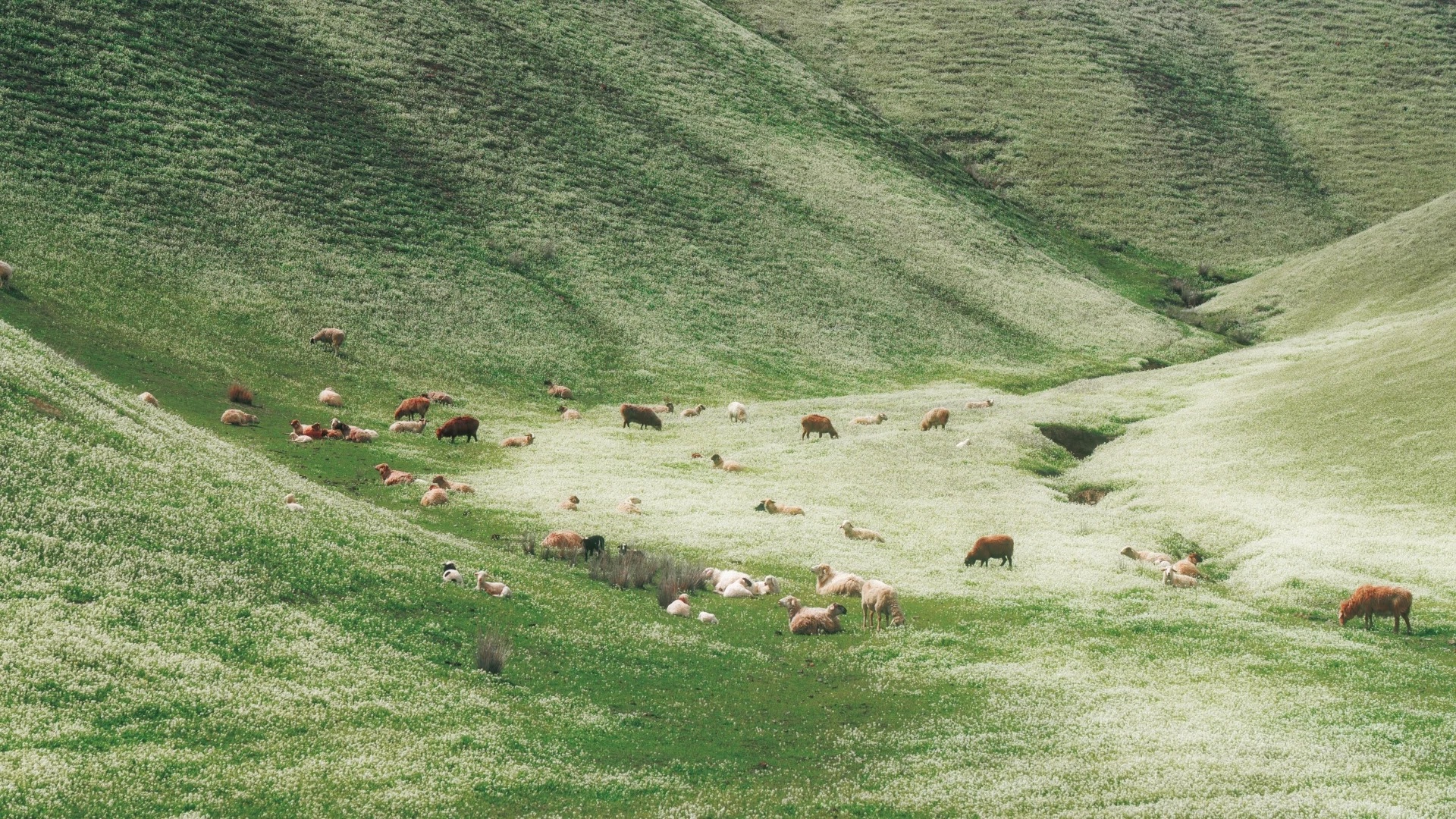 Khi tôi quyết định không đi đâu cả dịp 30/4: Tài khoản "còn nguyên", người không mệt và lần đầu thấy thành phố mình đang sống đẹp đến vậy- Ảnh 1.