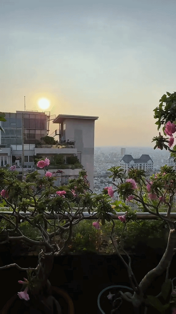 Khu vườn trên penthouse tầng 36, ngắm trọn Landmark 81: "Phú bà" thu đẫm trái ngọt hoa thơm- Ảnh 9.