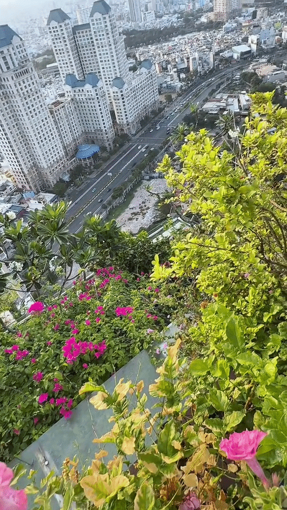 Khu vườn trên penthouse tầng 36, ngắm trọn Landmark 81: "Phú bà" thu đẫm trái ngọt hoa thơm- Ảnh 14.