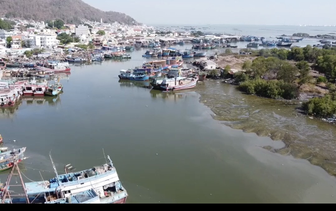 Điều chỉnh quy hoạch TP Vũng Tàu cho dự án đường vượt biển Cần Giờ - Vũng Tàu - Ảnh 2.