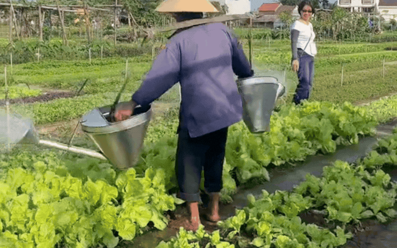 Ngôi làng nhỏ ở Hội An vừa được UNESCO vinh danh "Làng Du lịch tốt nhất thế giới": Cách phố cổ 3km, vé vào chỉ 35 nghìn- Ảnh 6.