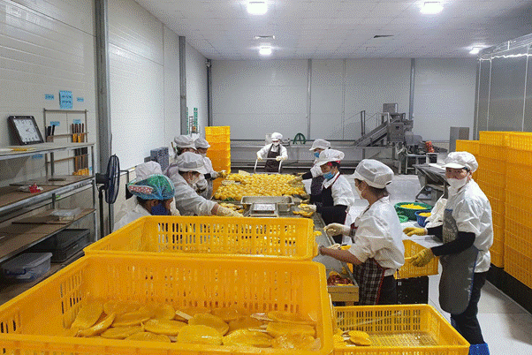 Vì sao giá nguyên liệu đã "hạ nhiệt" nhưng hàng quán vẫn giữ giá bán? - Ảnh 2.