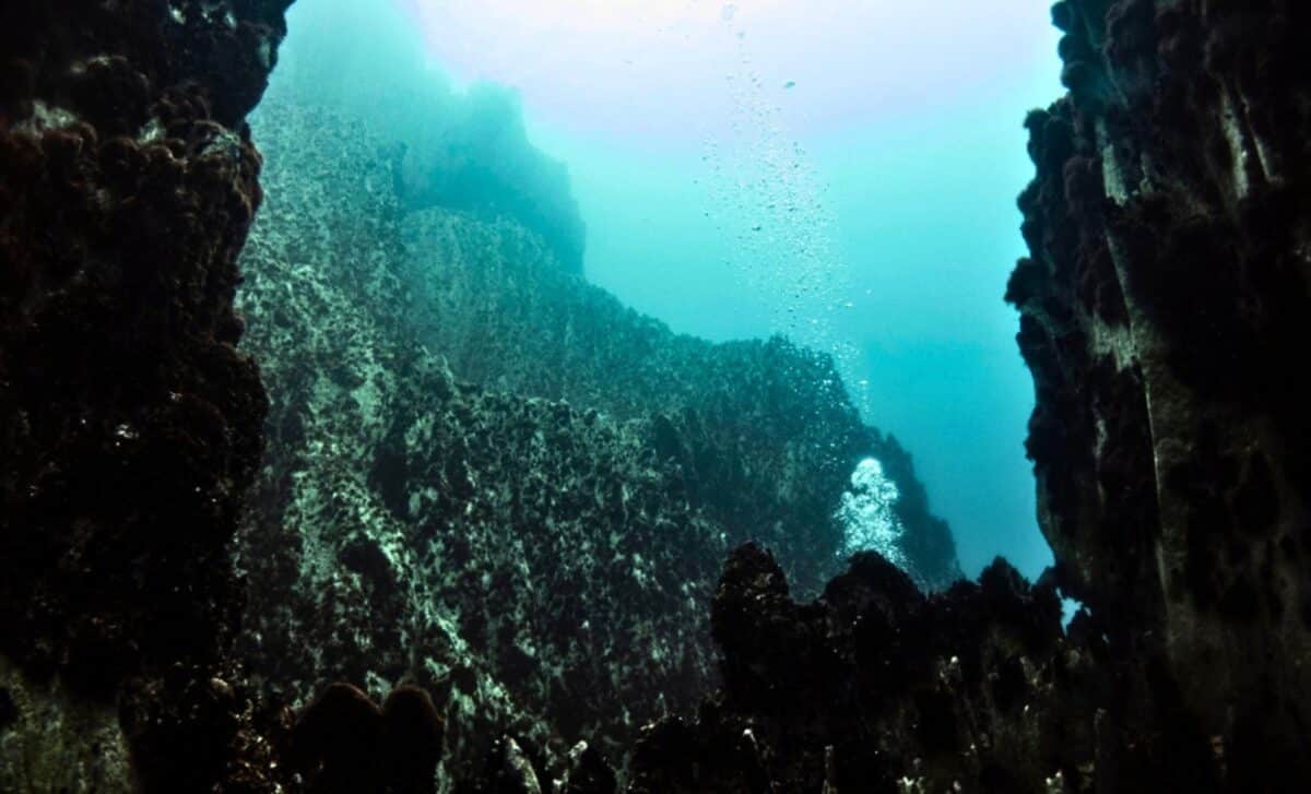 Nhấc một phiến đá lên từ độ sâu 2.515m, các nhà khoa học phát hiện một thế giới không nên tồn tại - Ảnh 3.