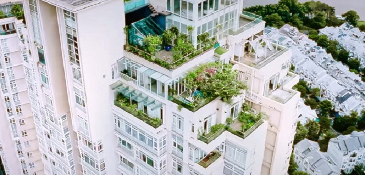 Khu vườn trên penthouse tầng 36, ngắm trọn Landmark 81: "Phú bà" thu đẫm trái ngọt hoa thơm- Ảnh 1.