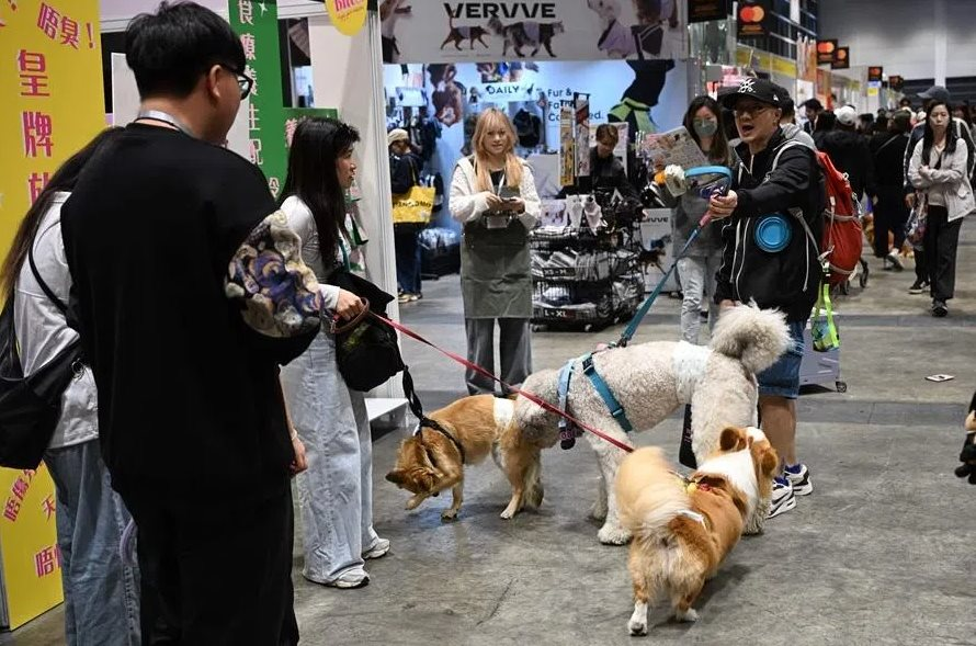 AI dịch tiếng mèo, robot trông thú cưng: Xu thế phát triển công nghệ vật nuôi bùng nổ trong kỷ nguyên AI và tỷ lệ sinh giảm- Ảnh 4.