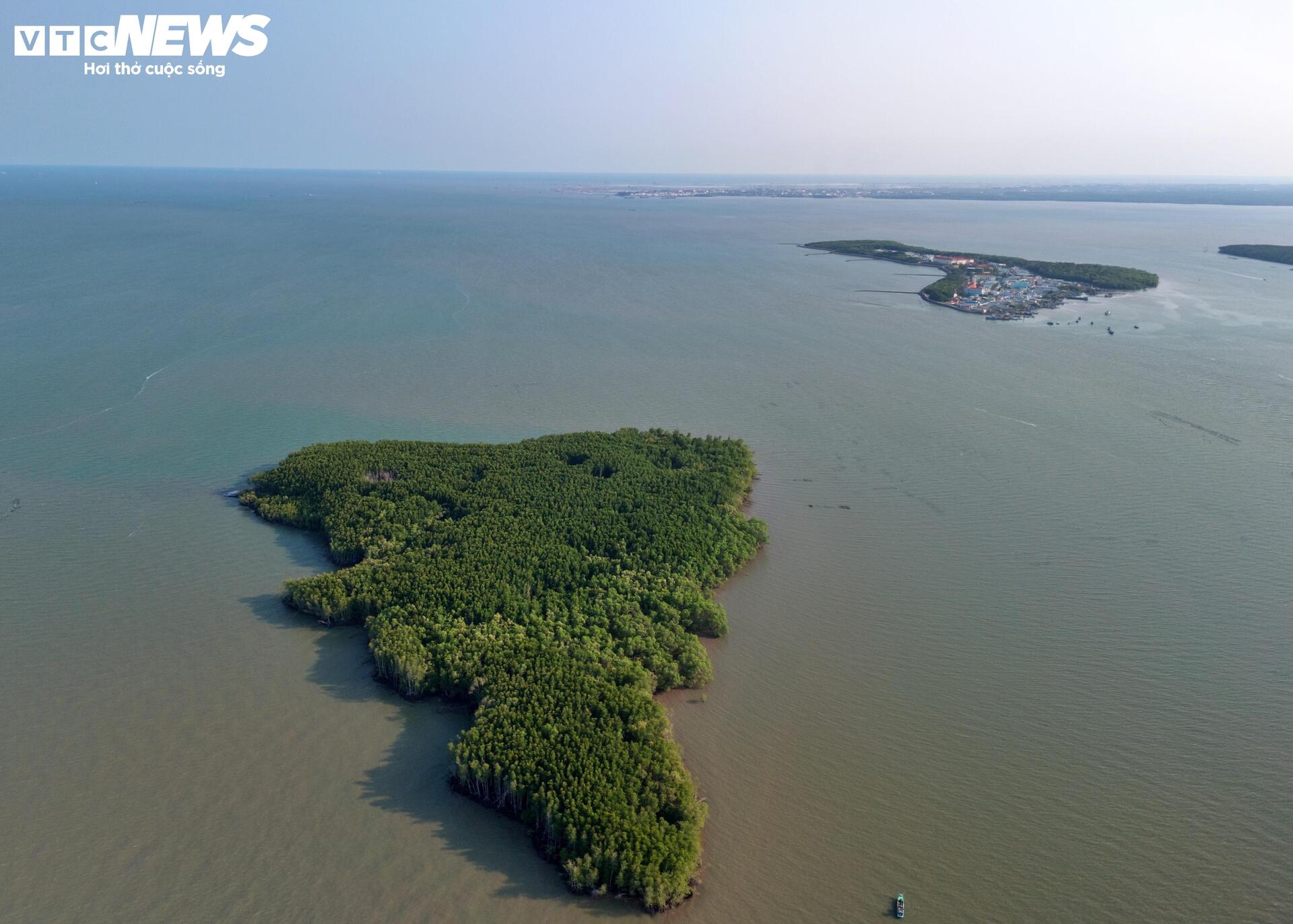 Cận cảnh siêu cảng quốc tế vừa được TP.HCM trao quyết định chấp thuận nhà đầu tư- Ảnh 11.