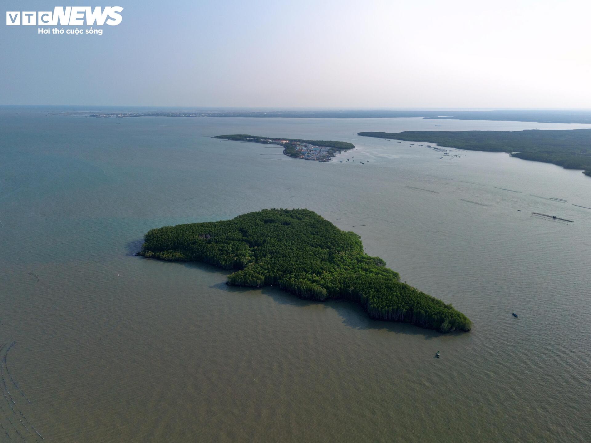 Cận cảnh siêu cảng quốc tế vừa được TP.HCM trao quyết định chấp thuận nhà đầu tư- Ảnh 5.