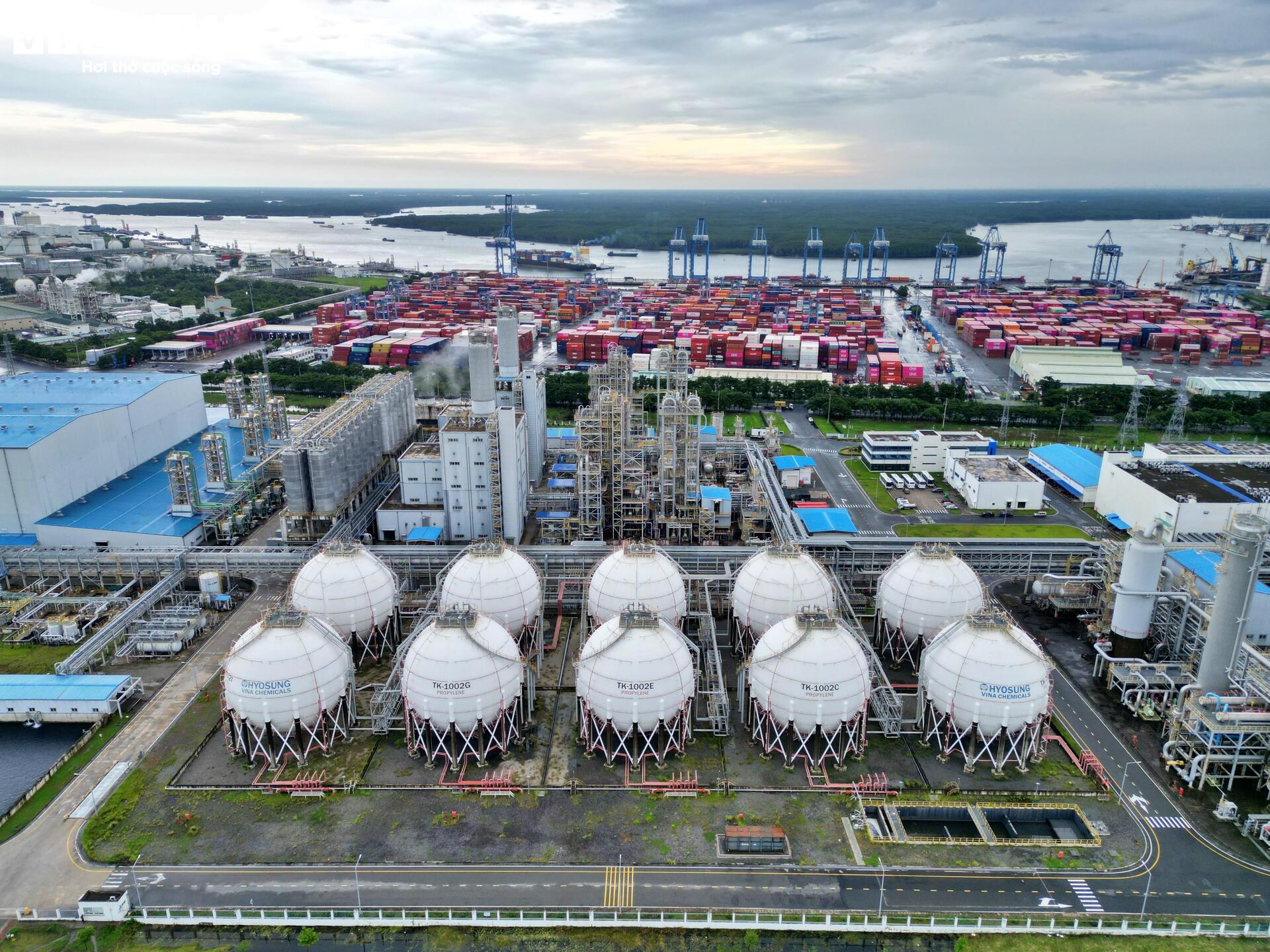 Cận cảnh siêu cảng quốc tế vừa được TP.HCM trao quyết định chấp thuận nhà đầu tư- Ảnh 7.