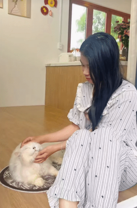 25 tuổi xây nhà 70m² chỉ với 200 triệu ở Khánh Hòa: Nhìn căn nhà nhỏ giữa sân vườn, nhiều người không tin nổi chi phí- Ảnh 8.